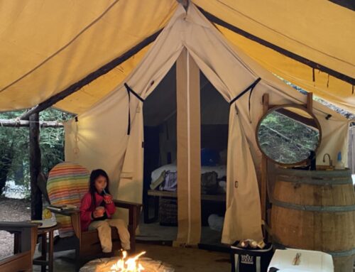 Glamping in Big Sur: A Family Adventure Made Effortless with Personal Care Solutions